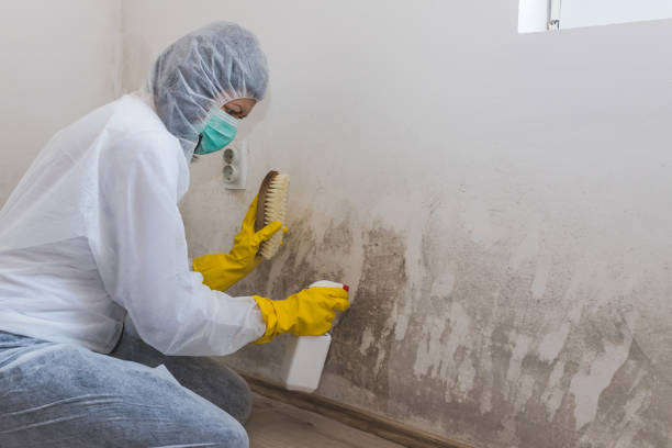 Best Comprehensive Air Testing for Mold Contaminants  in Damascus, MD