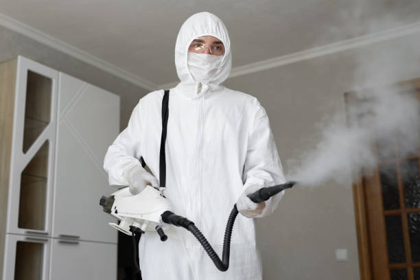 Mold Odor Removal Services in Damascus, MD